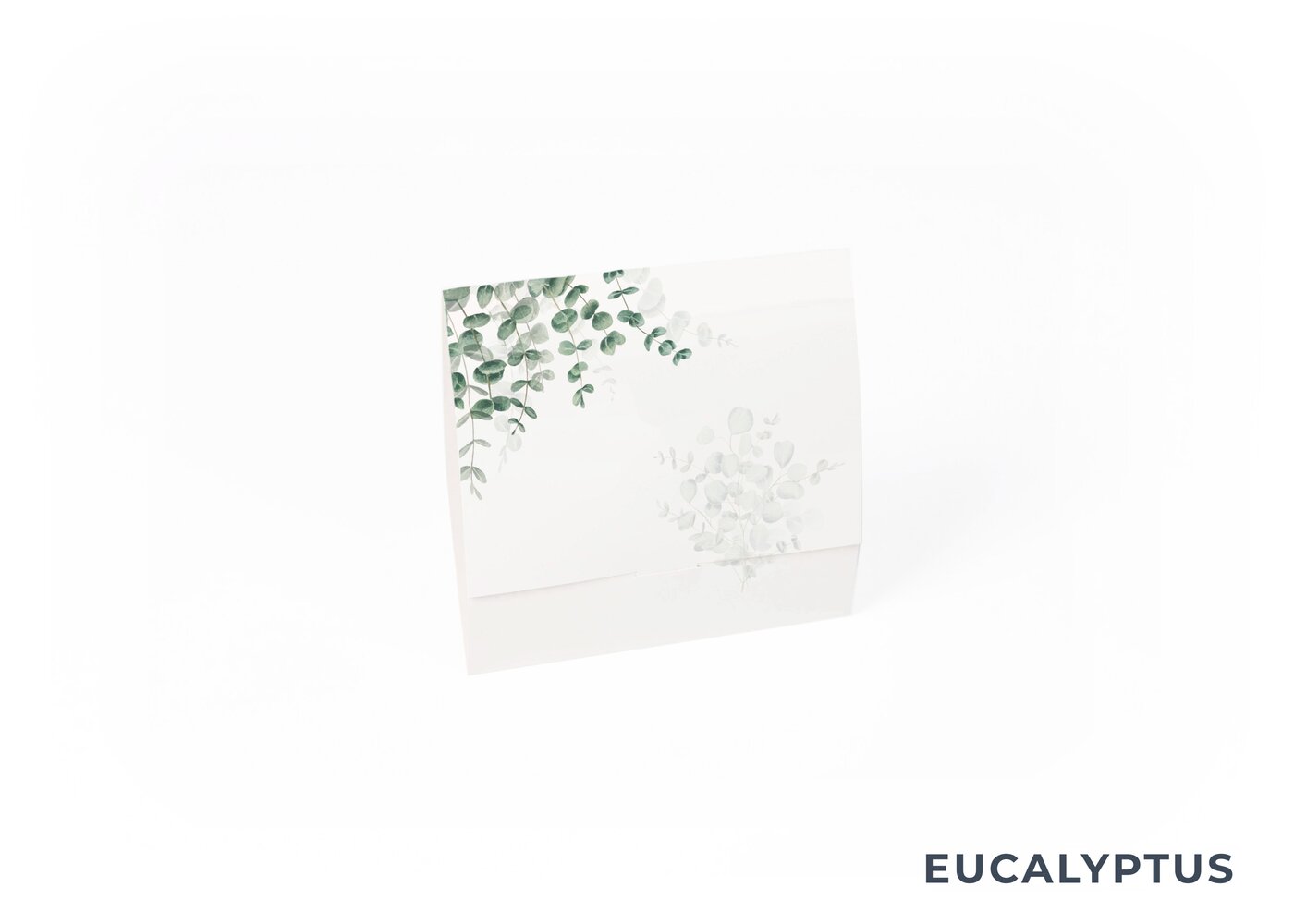 eucalyptus_Gesloten.jpg