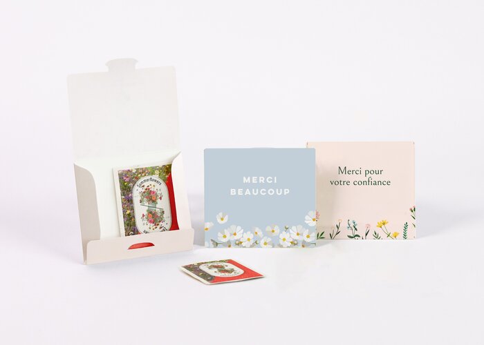 Pochettes avec graines de fleurs