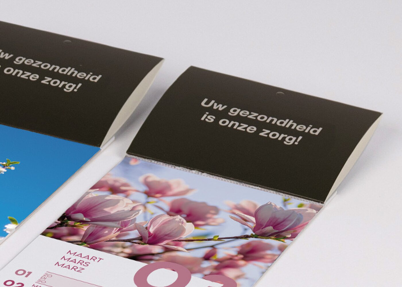 Close-up-kopje-NL.jpg